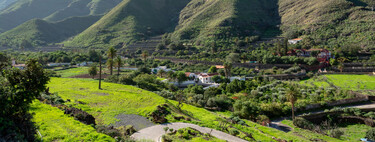 Agaete, el valle grancanario donde crece el único y cotizado café europeo (y el más septentrional del mundo)