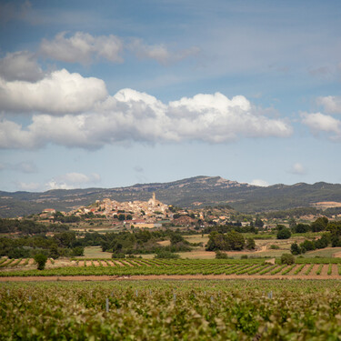 Un viaje a Tarragona para conocer los vinos de Conca de Barberá: redescubriendo la uva trepat más allá del rosado