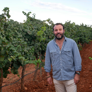 3.000 hectáreas, 21 tipos de viñas y un montón de marihuana: visitamos Pago Guijoso, “una de las fincas más punteras de Europa”