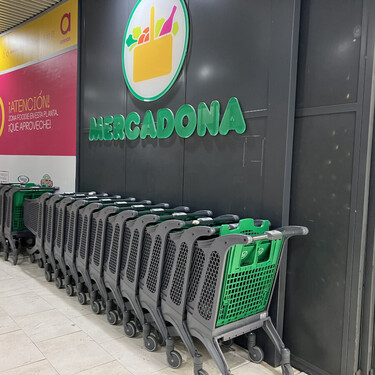 Estas son las novedades de Mercadona que llegan a sus supermercados este mes de enero y volver a la rutina 