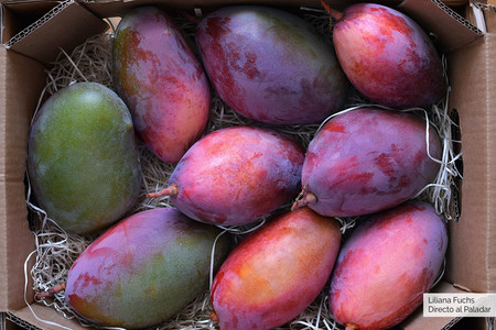 Mangos